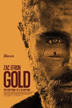 Picture of Gold [DVD]