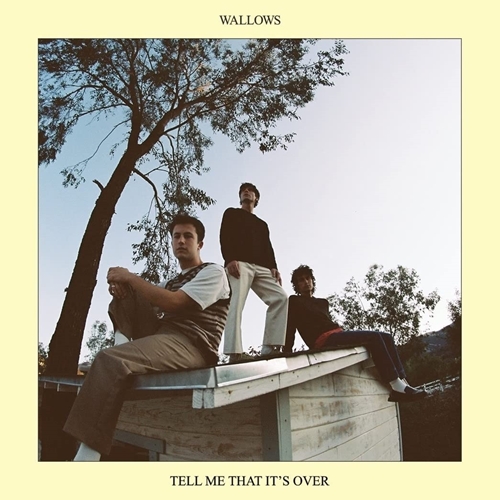 Picture of Tell Me That It's Over  by Wallows