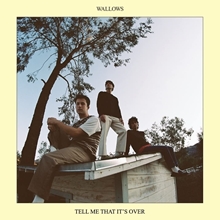 Picture of Tell Me That It's Over (Light Blue)  by Wallows