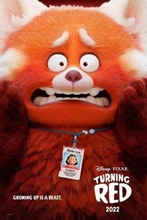 Picture of Turning Red (DVD)