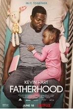 Picture of Fatherhood (Bilingual) [DVD]