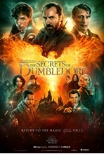 Picture of Fantastic Beasts: The Secrets of Dumbledore [DVD]