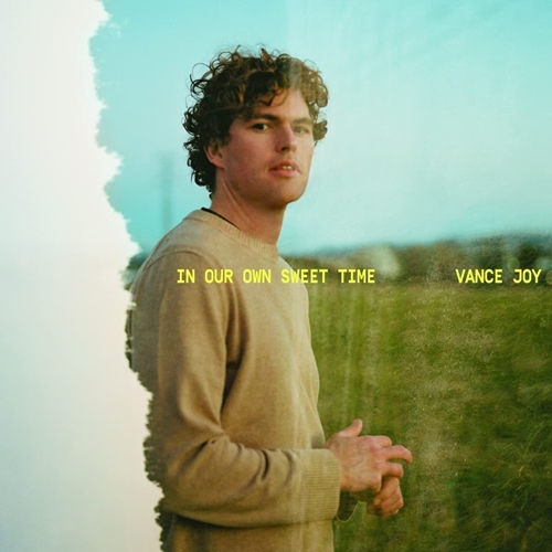 Picture of In Our Sweet Time by Vance Joy [Vinyl]