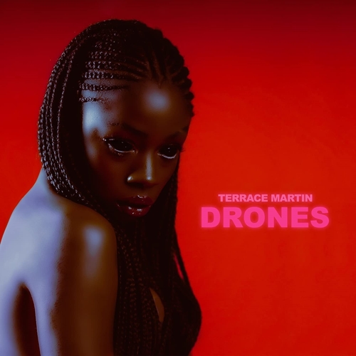 Picture of DRONES  by Terrace Martin