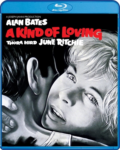 Picture of A Kind of Loving (1962)  [Blu-ray]