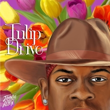 Picture of TULIP DRIVE by JIMMIE ALLEN [CD]