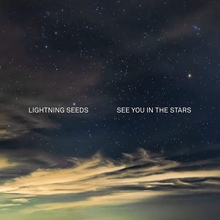 Picture of SEE YOU IN THE STARS (Coloured Vinyl) by LIGHTNING SEEDS [LP]