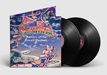 Picture of Return of The Dream Canteen (Deluxe) by RED HOT CHILI PEPPERS [2 LP]