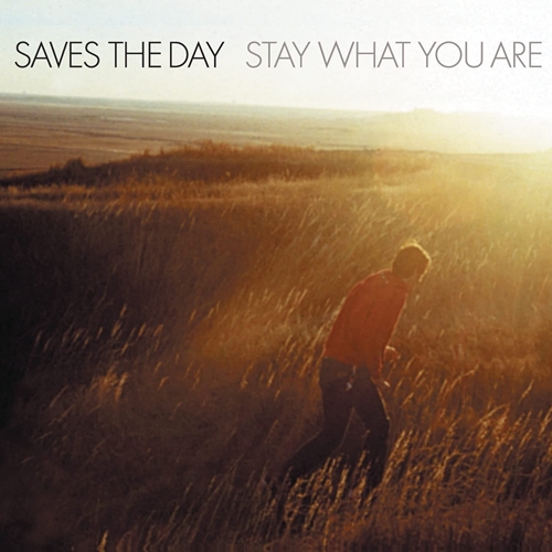 Picture of Stay What You Are (Limited Edition) (Brown 10" Vinyl)  by Saves the Day