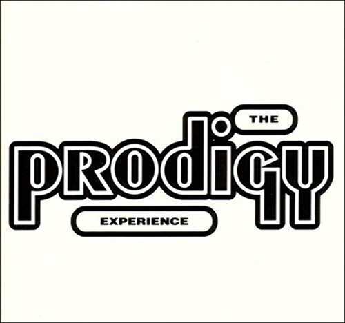 Picture of EXPERIENCE by PRODIGY,THE