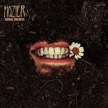 Picture of Unreal Unearth by Hozier