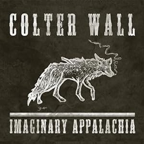 Picture of Imaginary Appalachia (LP) by Colter Wall