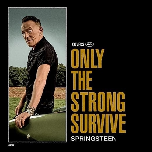 Picture of Only The Strong Survive  by Bruce Springsteen