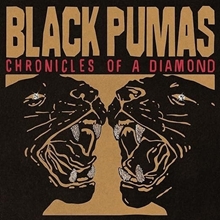 Picture of CHRONICLES OF A DIAMOND by BLACK PUMAS