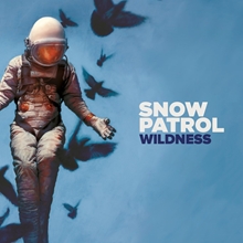 Picture of WILDNESS(LP) by SNOW PATROL