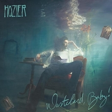 Picture of Wasteland, Baby!  by Hozier