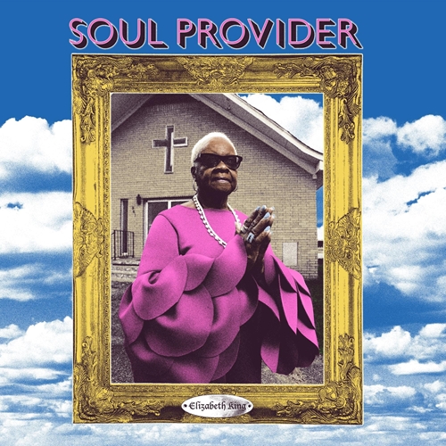 Picture of Soul Provider (LP)  by Elizabeth King