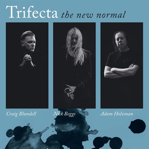 Picture of The New Normal (LP)  by Trifecta