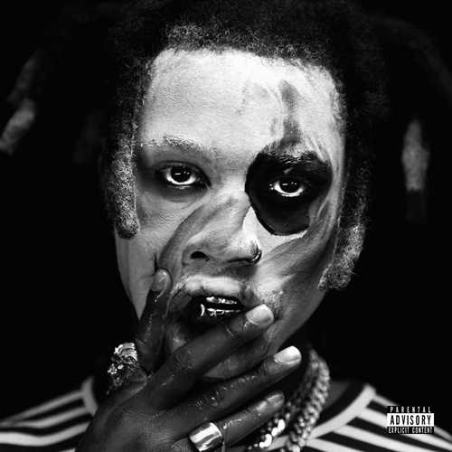 Picture of TA13OO(LP)  by DENZEL CURRY