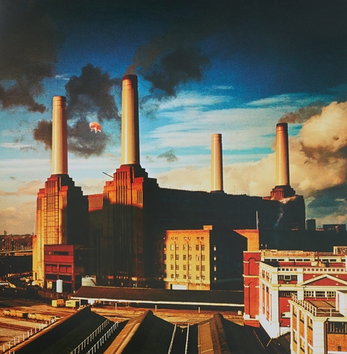 Picture of Animals  by Pink Floyd