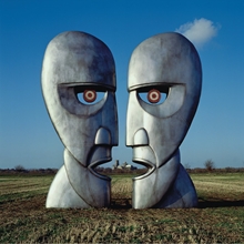 Picture of The Division Bell  by Pink Floyd