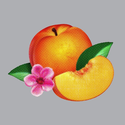 Picture of BANKRUPT(LP)  by PHOENIX