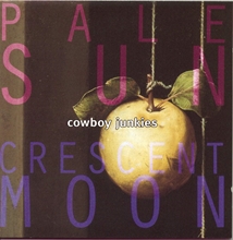 Picture of Pale Sun Crescent Moon  by Cowboy Junkies