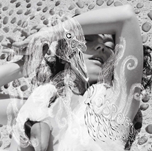 Picture of Vespertine  by Bjork