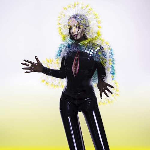 Picture of Vulnicura  by Bjork