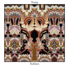 Picture of TURBINES(LP)  by TUUNG