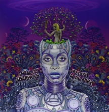 Picture of NEW AMERYKAH PT.2(LP)  by BADU ERYKAH