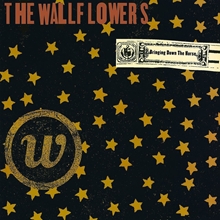 Picture of BRING DOWN THE HORSE(2LP)  by WALLFLOWERS,THE