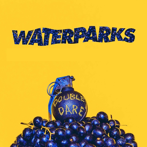 Picture of Double Dare  by Waterparks