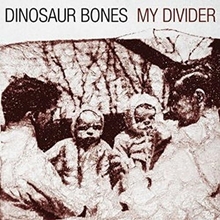 Picture of MY DIVIDER (LP)  by DINOSAUR BONES