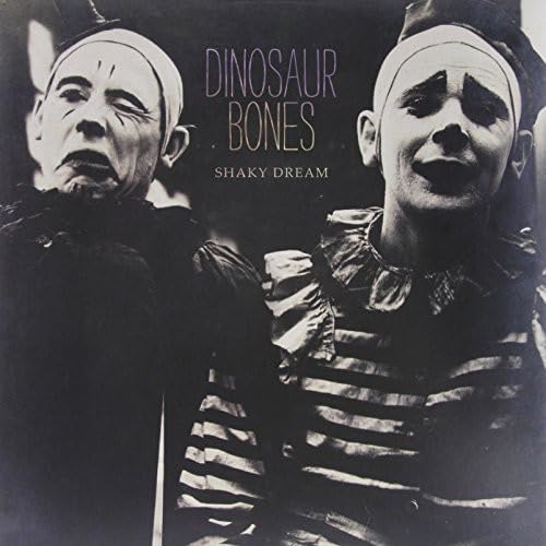 Picture of SHAKY DREAM(LP)  by DINOSAUR BONES