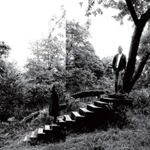 Picture of TIMBER TIMBRE  by TIMBER TIMBRE