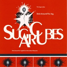 Picture of Stick Around (Dmm) For Joy  by Sugarcubes