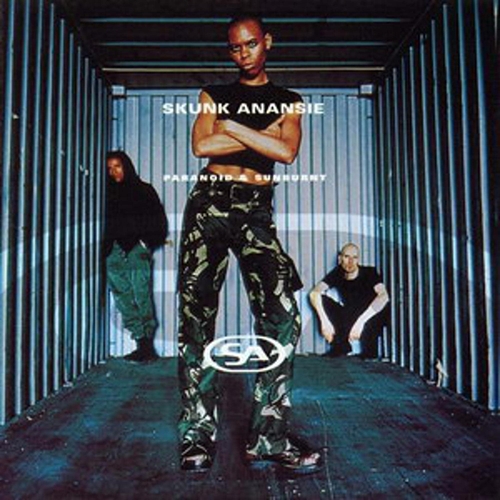 Picture of Paranoid & Sunburnt  by Skunk Anansie