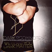 Picture of WE LOVE YOU DARK MATTER (LP)                                       by DARK ROOM NOTES   