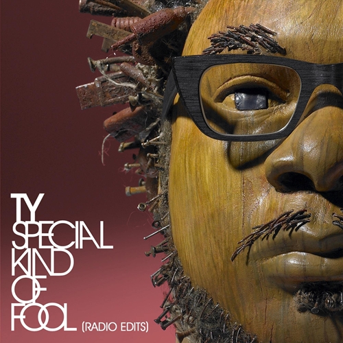 Picture of SPECIAL KIND OF FOOL (2LP)                                         by TY   