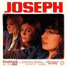 Picture of GOOD LUCK KID(LP)  by JOSEPH