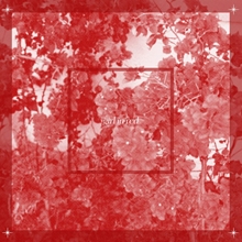 Picture of BEGINNINGS(LP)  by GIRL IN RED