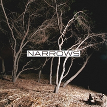 Picture of Self-Titled  by Narrows