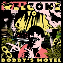 Picture of WELCOME TO BOBBY'S MOTE(LP)  by POTTERY