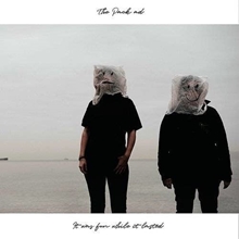 Picture of it was fun while it lasted (LP)  by The Pack a.d.