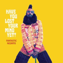 Picture of Have You Lost Your Mind Yet?  by Fantastic Negrito