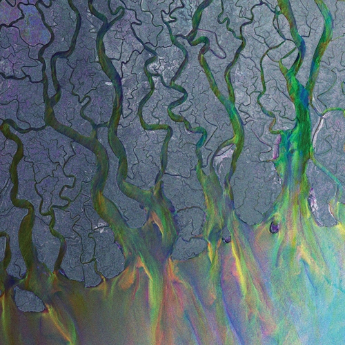 Picture of AN AWESOME WAVE (LP)  by ALT-J