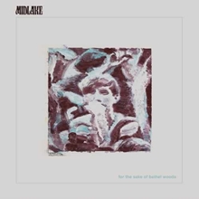 Picture of FOR THE SAKE OF BE(LP CLEA  by MIDLAKE