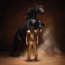 Picture of Bronco  by Orville Peck