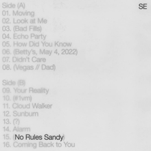 Picture of No Rules Sandy (Indie Exclusive)  by Sylvan Esso